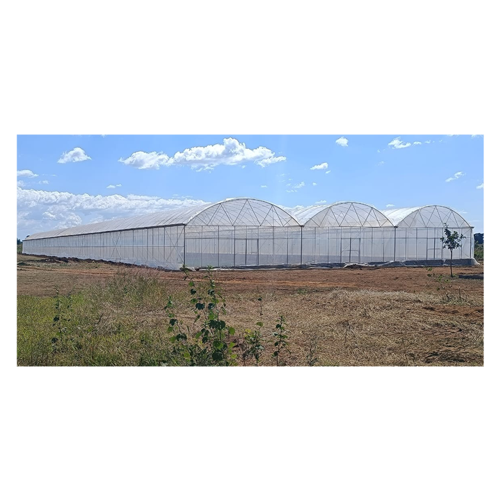 Baolida Wind resistant UV net house greenhouse environmental controller multi-span greenhouses