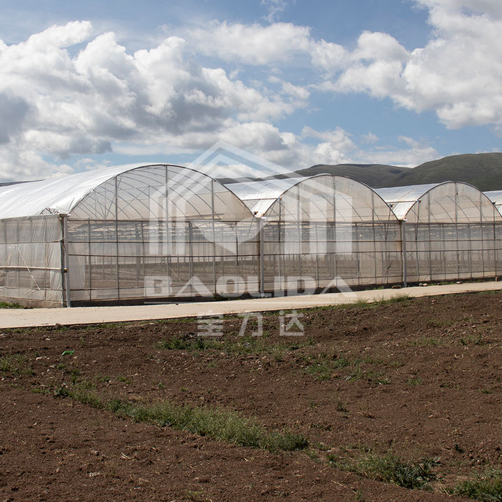 Baolida Wind resistant UV net house greenhouse environmental controller multi-span greenhouses