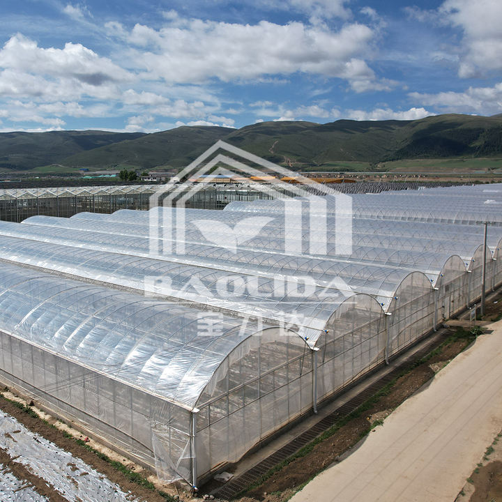 Baolida Wind resistant UV net house greenhouse environmental controller multi-span greenhouses