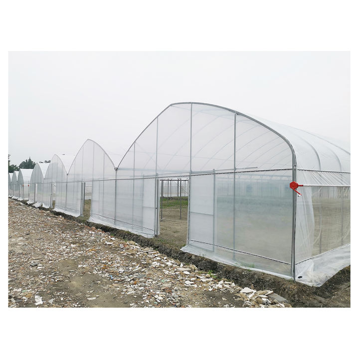 Baolida top side ventilation shading system cooling system multispan greenhouse for tropical climate