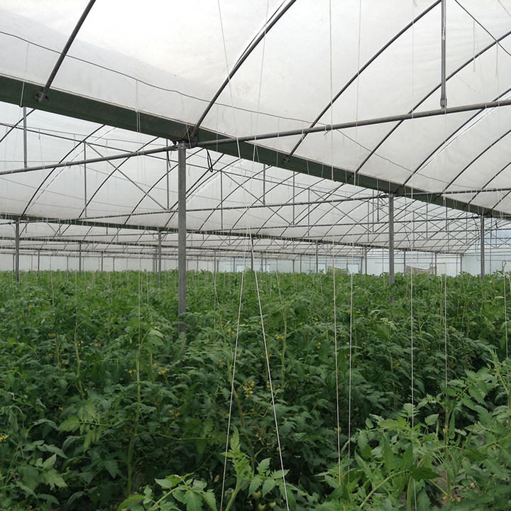 Baolida top side ventilation shading system cooling system multispan greenhouse for tropical climate