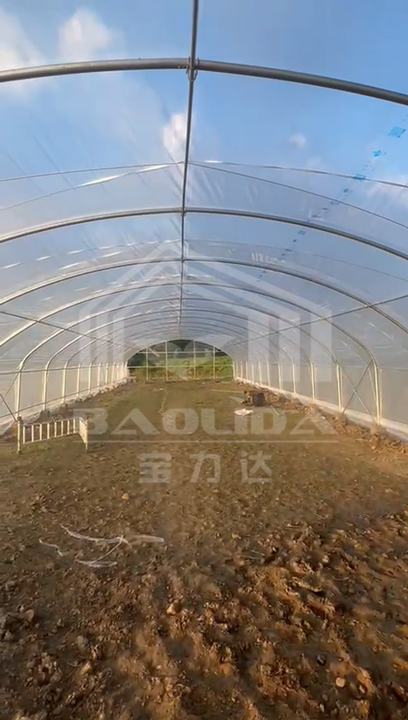 Cheap large plastic film shade net india tropical area tunnel greenhouse multi-span agricultural greenhouses