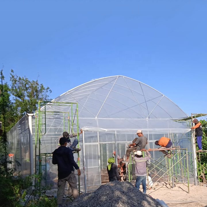 Cheap large plastic film shade net india tropical area tunnel greenhouse multi-span agricultural greenhouses