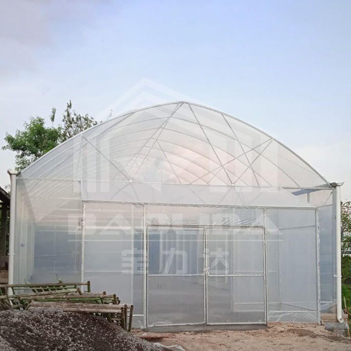 Cheap large plastic film shade net india tropical area tunnel greenhouse multi-span agricultural greenhouses