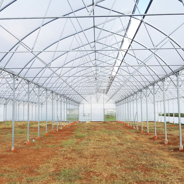 Cheap large plastic film shade net india tropical area tunnel greenhouse multi-span agricultural greenhouses