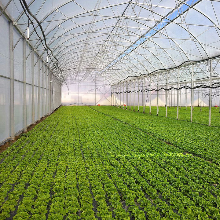 Cheap large plastic film shade net india tropical area tunnel greenhouse multi-span agricultural greenhouses