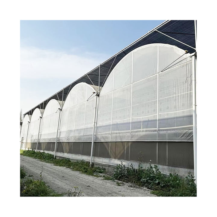 China agricultural manufacturers grow greenhouse polyethylene plastic film covering multi-span greenhouses