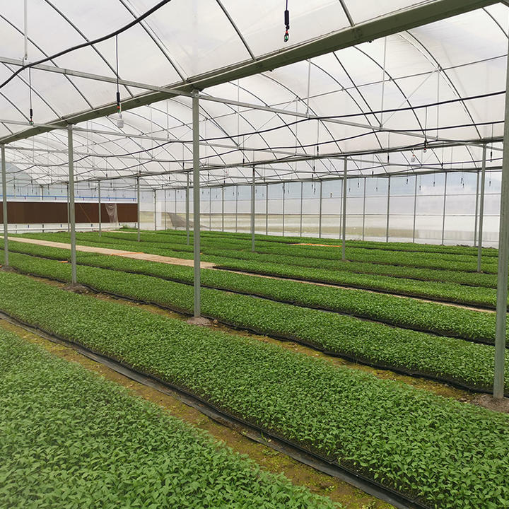 China agricultural manufacturers grow greenhouse polyethylene plastic film covering multi-span greenhouses