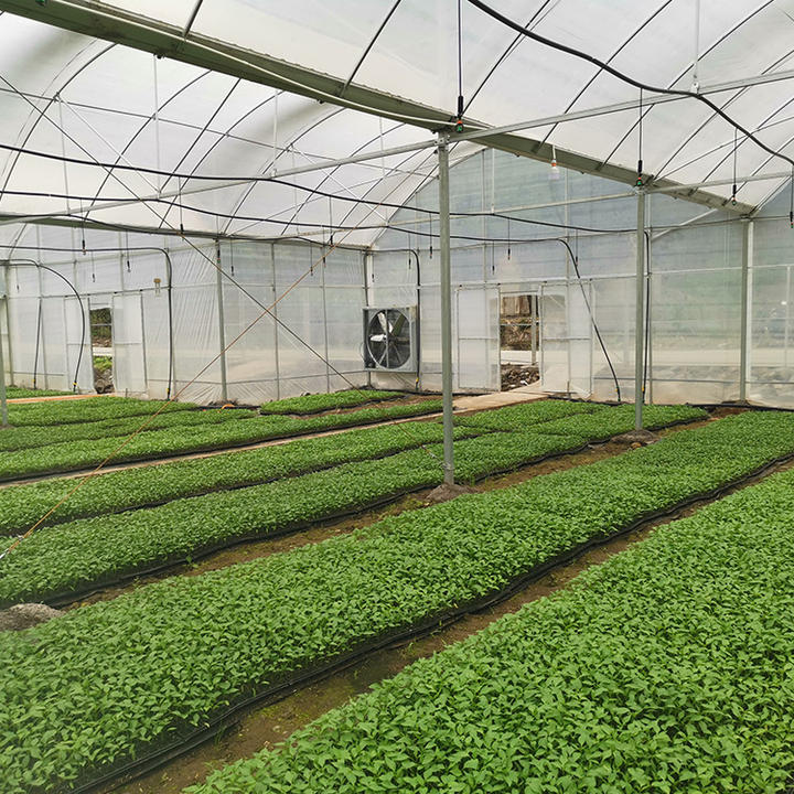 China agricultural manufacturers grow greenhouse polyethylene plastic film covering multi-span greenhouses