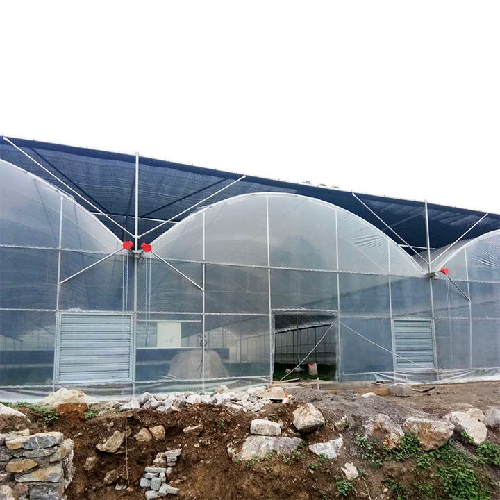 Chinese Agricultural Greenhouse Manufacturer Film Multispan Greenhouse Frame