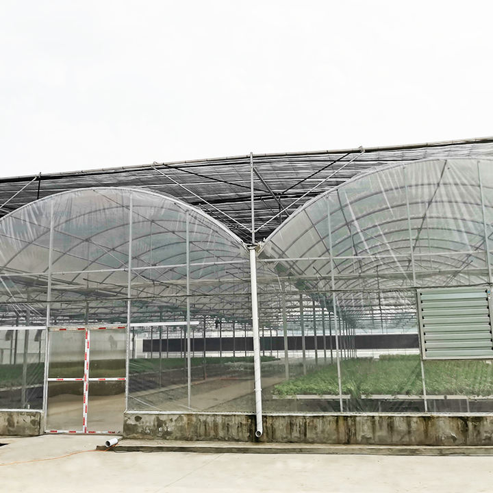 Chinese Agricultural Greenhouse Manufacturer Film Multispan Greenhouse Frame