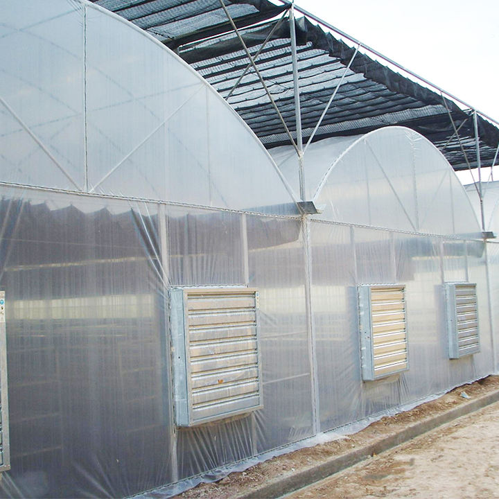 Chinese Agricultural Greenhouse Manufacturer Film Multispan Greenhouse Frame