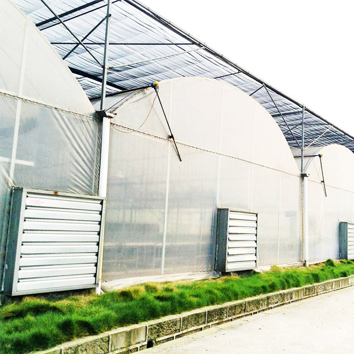 Chinese Agricultural Greenhouse Manufacturer Film Multispan Greenhouse Frame