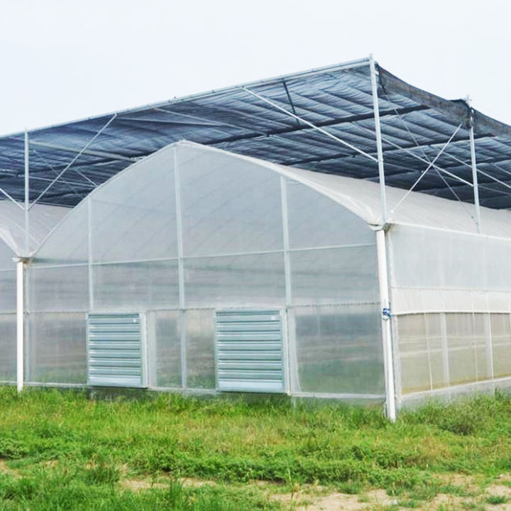 Chinese Agricultural Greenhouse Manufacturer Film Multispan Greenhouse Frame