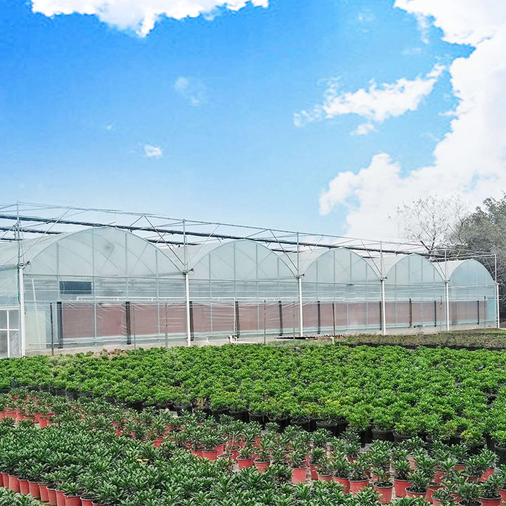 Chinese Polyhouse Agriculture Green House Manufacturer Greenhouse Price Serre Invernadero Multi-span Greenhouse