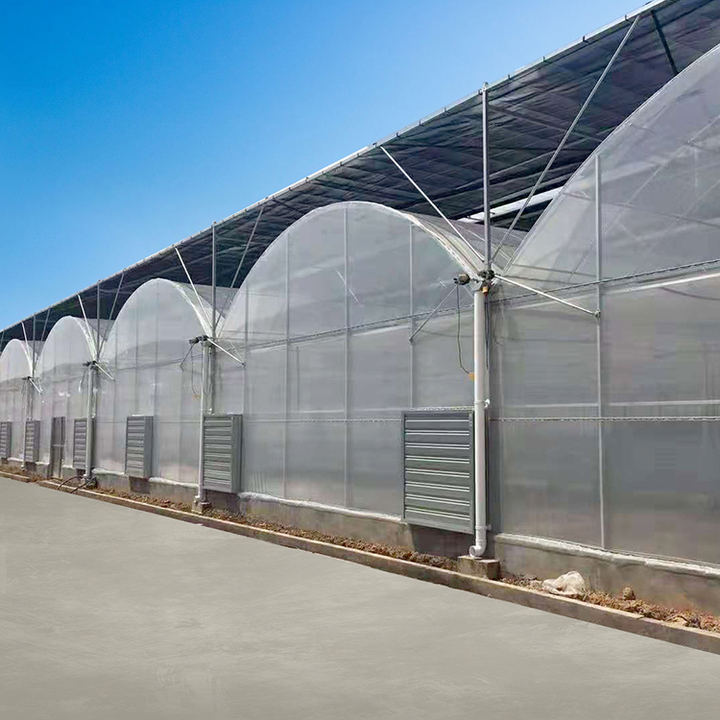 Chinese Polyhouse Agriculture Green House Manufacturer Greenhouse Price Serre Invernadero Multi-span Greenhouse