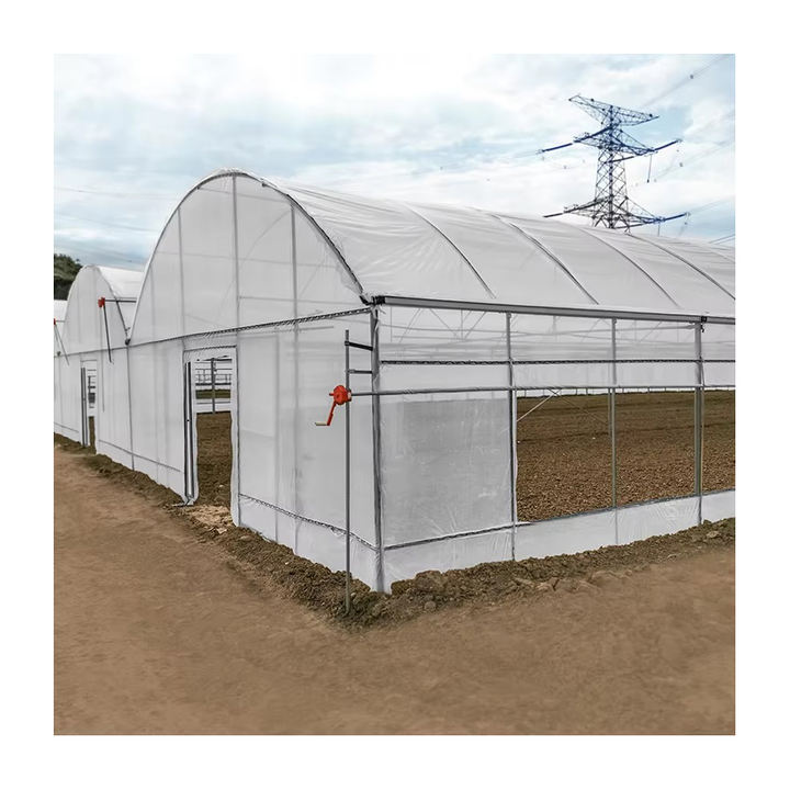 Commercial Hydroponic Plastic Film Tomato Greenhouse Automatic Control Multi-span Agricultural Greenhouses For Sale