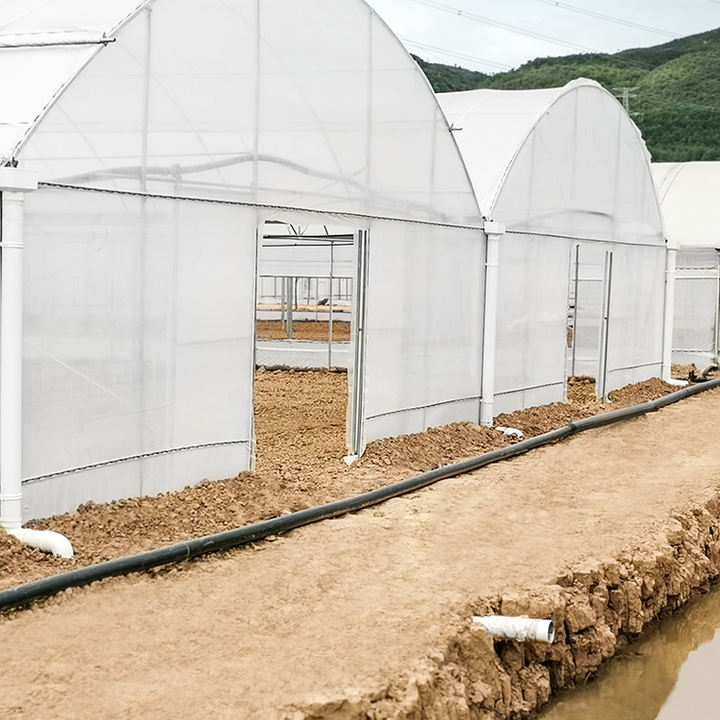 Commercial Hydroponic Plastic Film Tomato Greenhouse Automatic Control Multi-span Agricultural Greenhouses For Sale