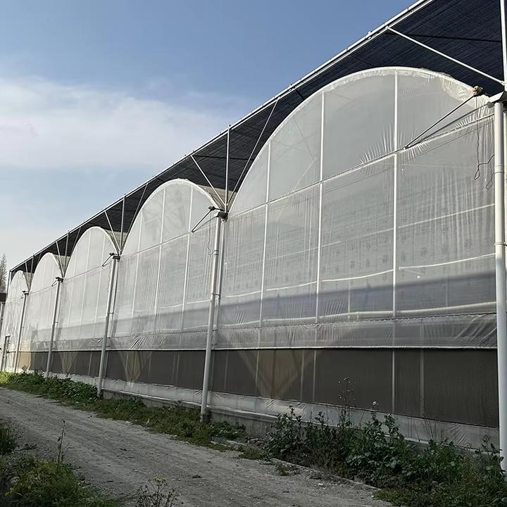 Commercial Hydroponic Plastic Film Tomato Greenhouse Automatic Control Multi-span Agricultural Greenhouses For Sale