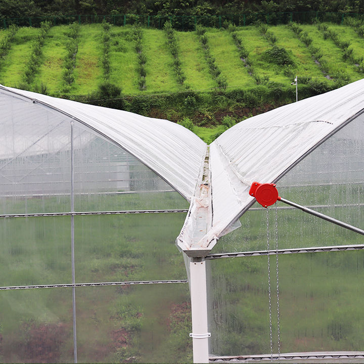 Commercial plastic film temperature control greenhouse tunnel white multispan greenhouse for vegetables Export Manufacturing Efficiency