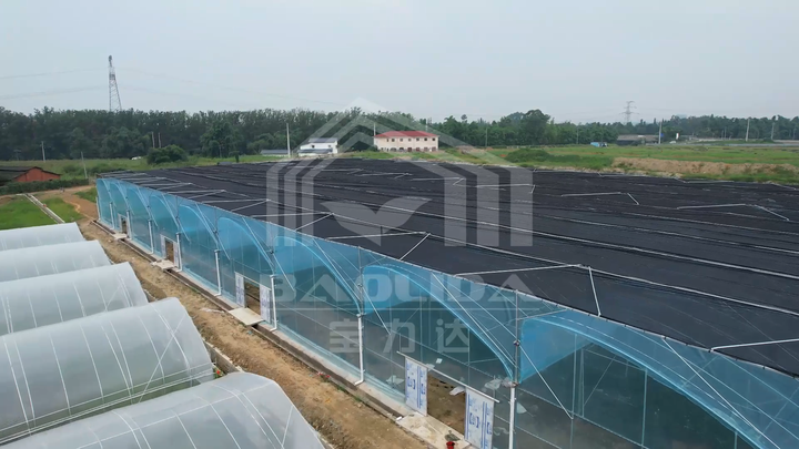 Complete shading system wind resistant sunlight multispan greenhouse with complete systems