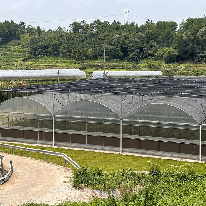 Complete shading system wind resistant sunlight multispan greenhouse with complete systems