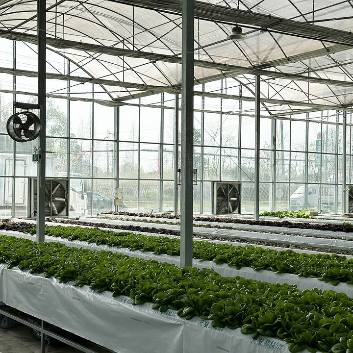 Complete shading system wind resistant sunlight multispan greenhouse with complete systems