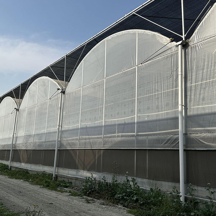 Complete shading system wind resistant sunlight multispan greenhouse with complete systems