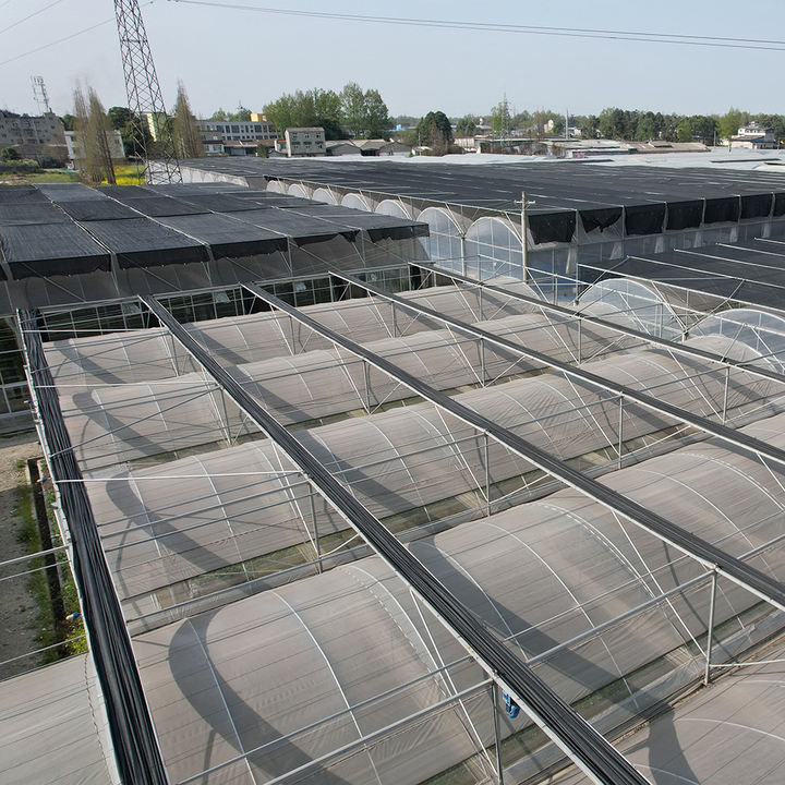 Complete shading system wind resistant sunlight multispan greenhouse with complete systems