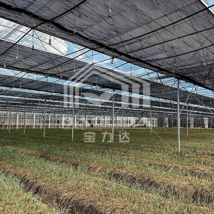 Complete shading system wind resistant sunlight multispan greenhouse with complete systems