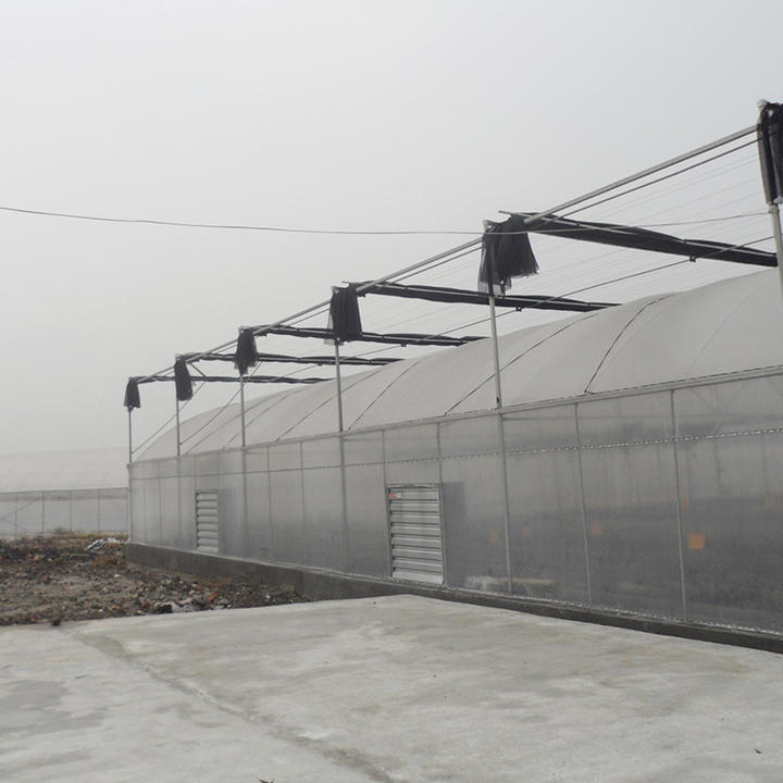 Cooling system greenhouse agriculture large greenhouse light plastic mutlispan greenhouse Bulk Manufacturing Processing