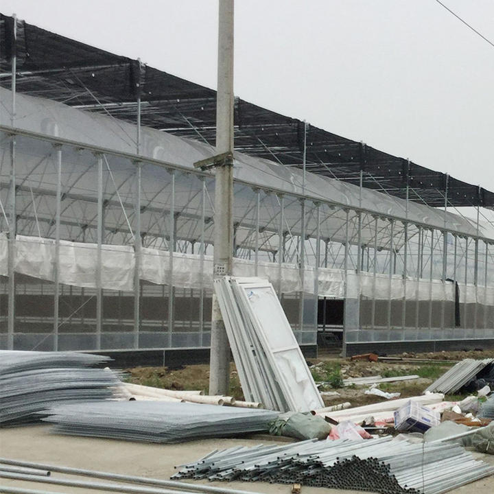 Cooling system greenhouse agriculture large greenhouse light plastic mutlispan greenhouse Bulk Manufacturing Processing
