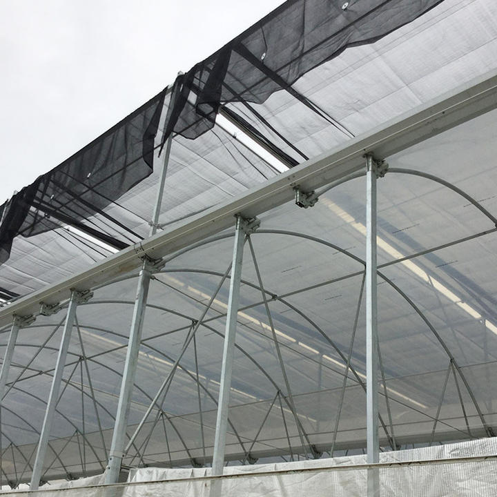 Cooling system greenhouse agriculture large greenhouse light plastic mutlispan greenhouse Bulk Manufacturing Processing