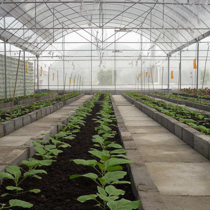 Cooling system greenhouse agriculture large greenhouse light plastic mutlispan greenhouse Bulk Manufacturing Processing