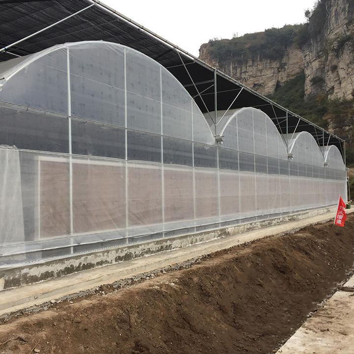 Customized large size hydroponic growing systems multispan greenhouse for vegetables