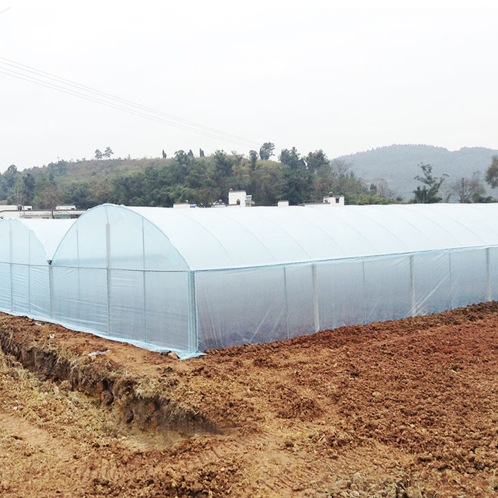 Easy Installed Commercial Hydroponic farming system greenhouse hydroponics Plastic Film Multispan Greenhouse Factory Wholesale Trade