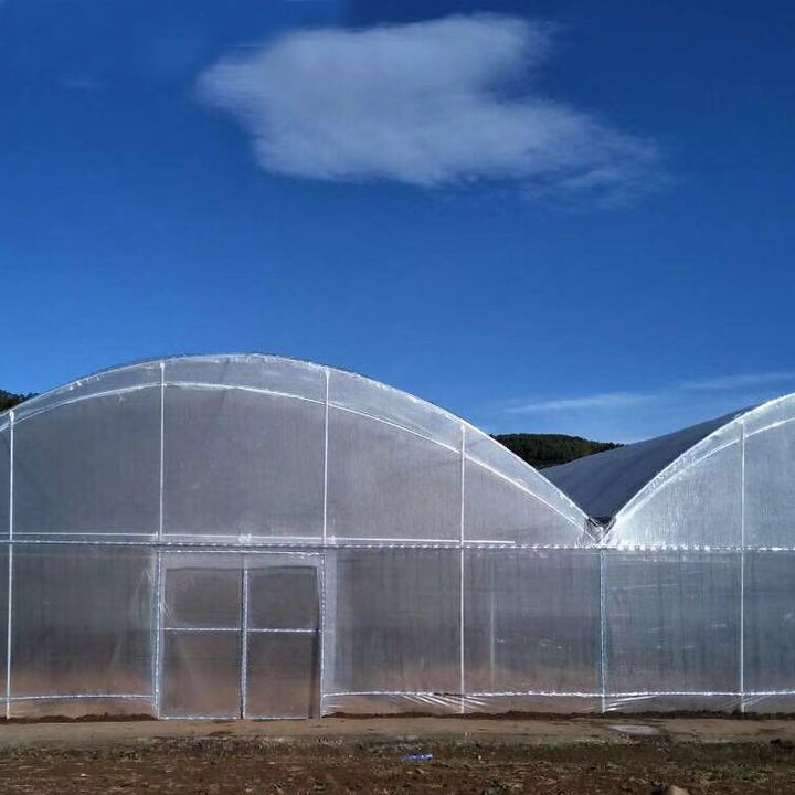 Easy Installed Commercial Hydroponic farming system greenhouse hydroponics Plastic Film Multispan Greenhouse Factory Wholesale Trade