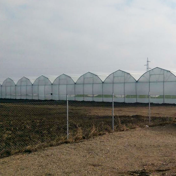 Easy Installed Commercial Hydroponic farming system greenhouse hydroponics Plastic Film Multispan Greenhouse Factory Wholesale Trade