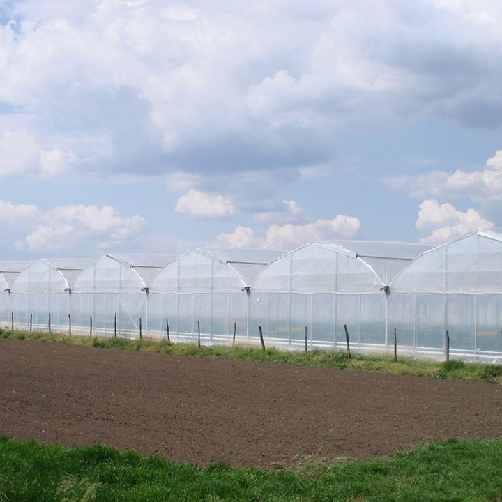 Easy Installed Commercial Hydroponic farming system greenhouse hydroponics Plastic Film Multispan Greenhouse Factory Wholesale Trade