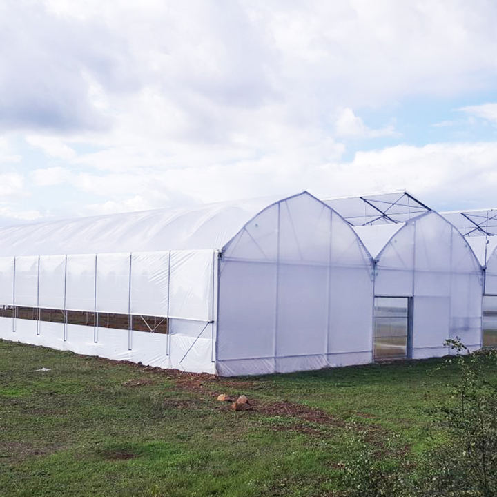 Easy Installed Commercial Hydroponic farming system greenhouse hydroponics Plastic Film Multispan Greenhouse Factory Wholesale Trade