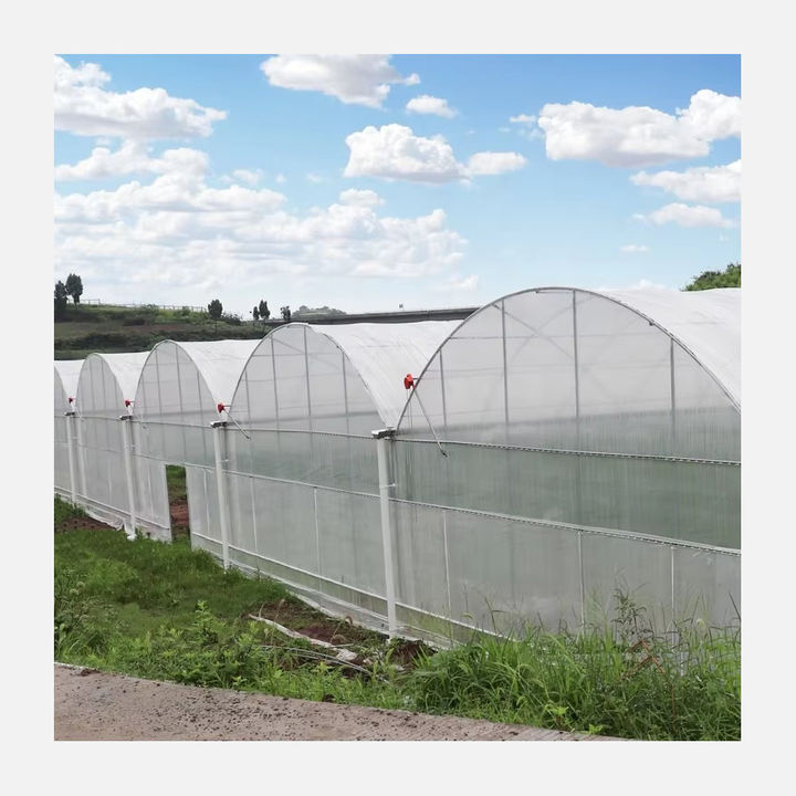 Galvanized Pipe Greenhouse Growing Systems Invernadero Transparent Pvc Hydroponic Plastic Film Multi Span Greenhouses