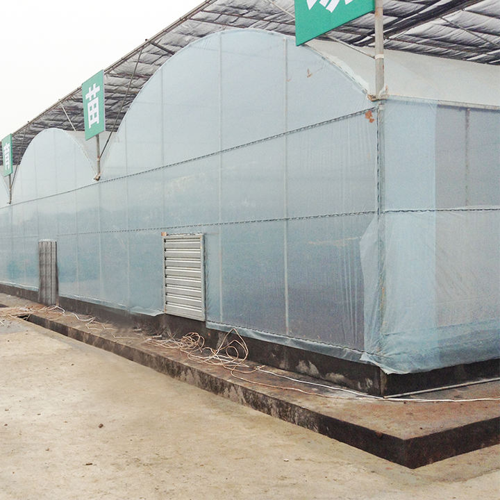 Galvanized Pipe Greenhouse Growing Systems Invernadero Transparent Pvc Hydroponic Plastic Film Multi Span Greenhouses