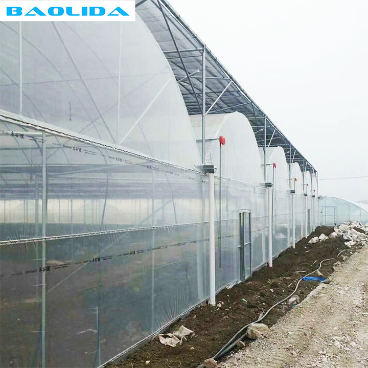 Galvanized Pipe Greenhouse Growing Systems Invernadero Transparent Pvc Hydroponic Plastic Film Multi Span Greenhouses