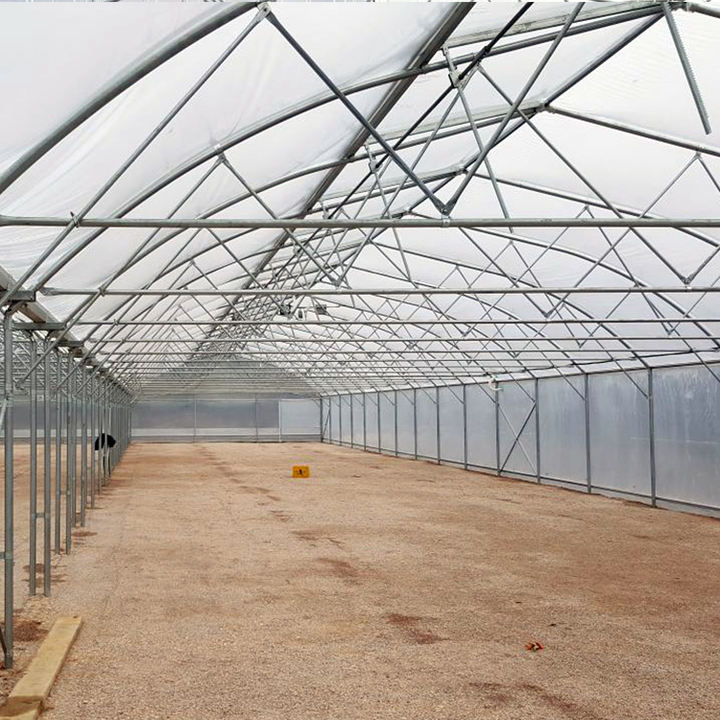 Galvanized Pipe Greenhouse Growing Systems Invernadero Transparent Pvc Hydroponic Plastic Film Multi Span Greenhouses