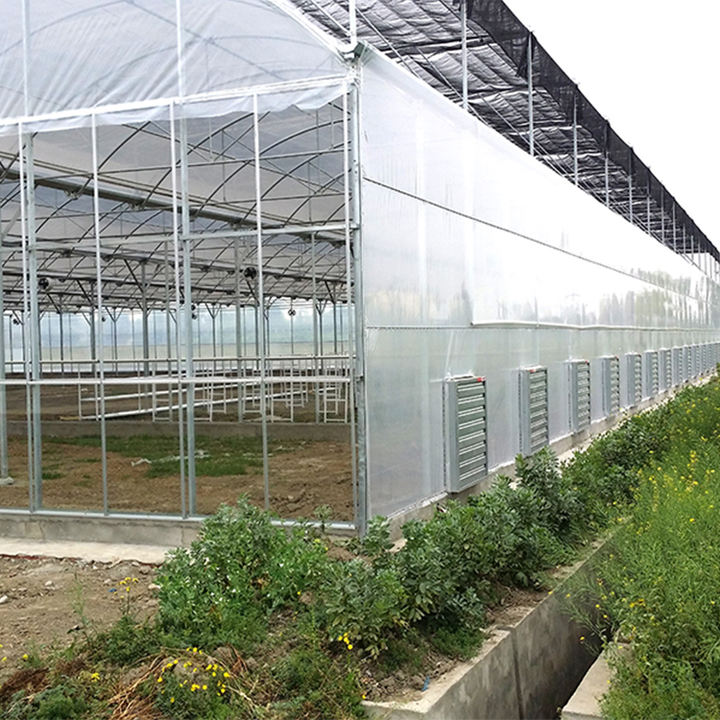 Galvanized Steel Pipe Multi-span Arch Tunnel Plastic Film Agricultural Greenhouse For Vegetable Plant