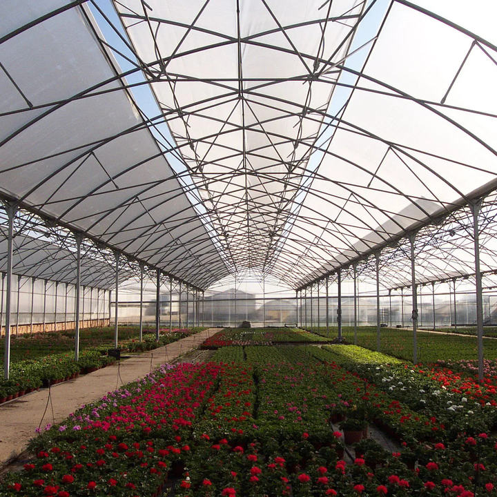 Galvanized Steel Pipe Multi-span Arch Tunnel Plastic Film Agricultural Greenhouse For Vegetable Plant