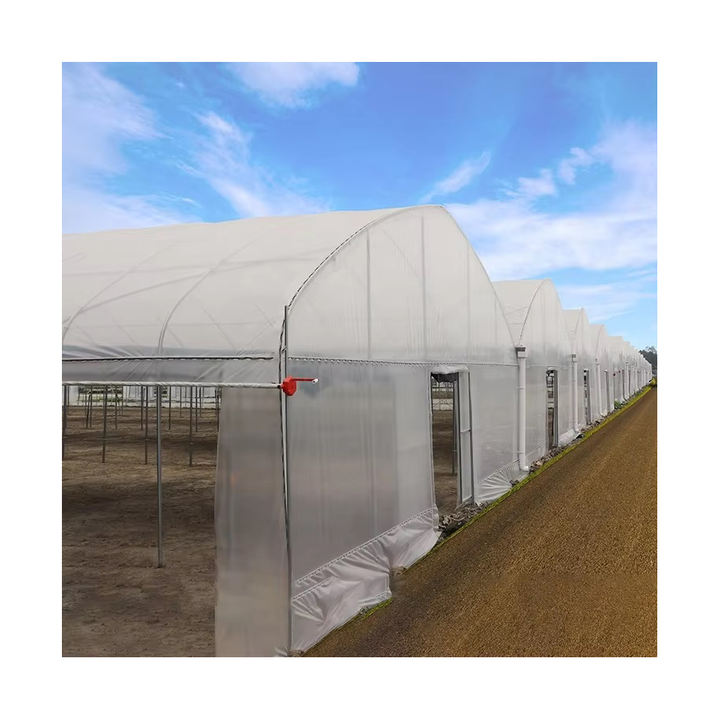 Gewachshaus Manufacturers Agricultural serre Green House Intelligent Film Serre Invernadero Multi-span Greenhouse