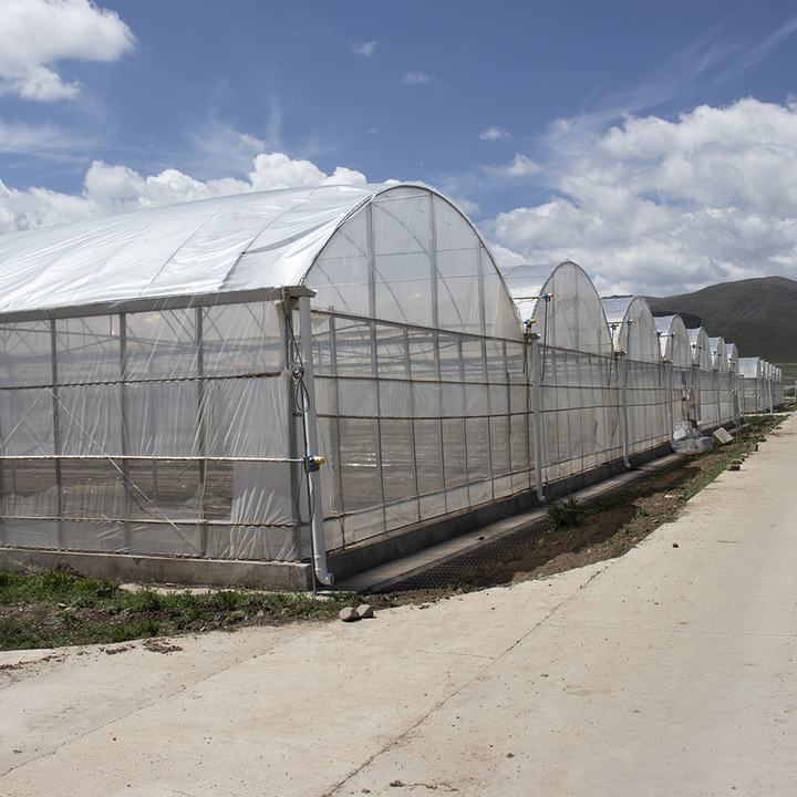 Gewachshaus Manufacturers Agricultural serre Green House Intelligent Film Serre Invernadero Multi-span Greenhouse