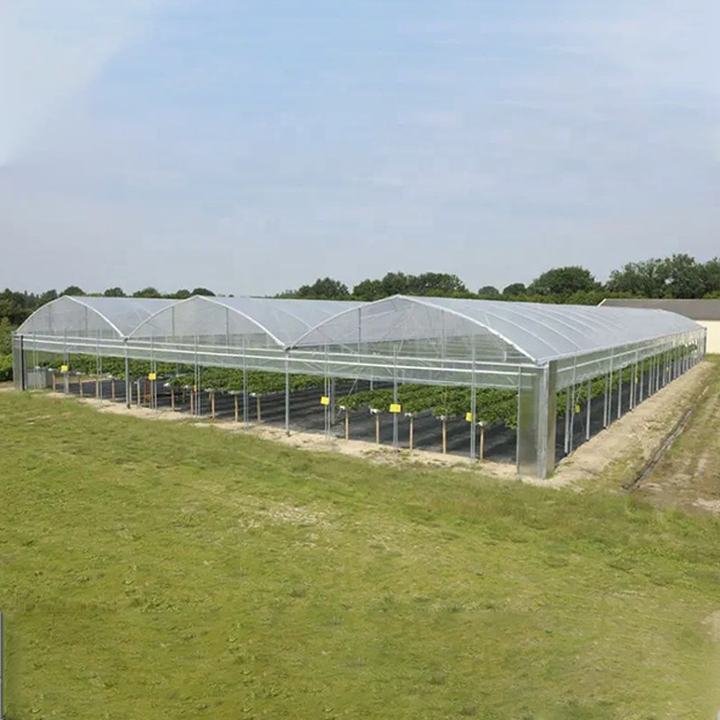 Gewachshaus Manufacturers Agricultural serre Green House Intelligent Film Serre Invernadero Multi-span Greenhouse