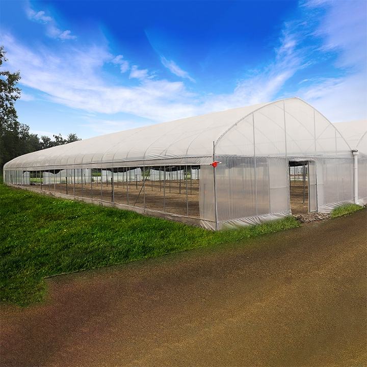 Gewachshaus Manufacturers Agricultural serre Green House Intelligent Film Serre Invernadero Multi-span Greenhouse